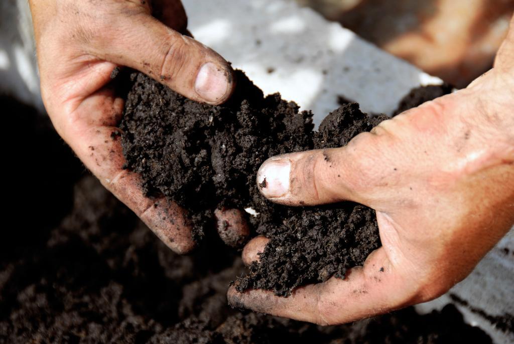 Hands sifting through one of the best soils for growing microgreens.