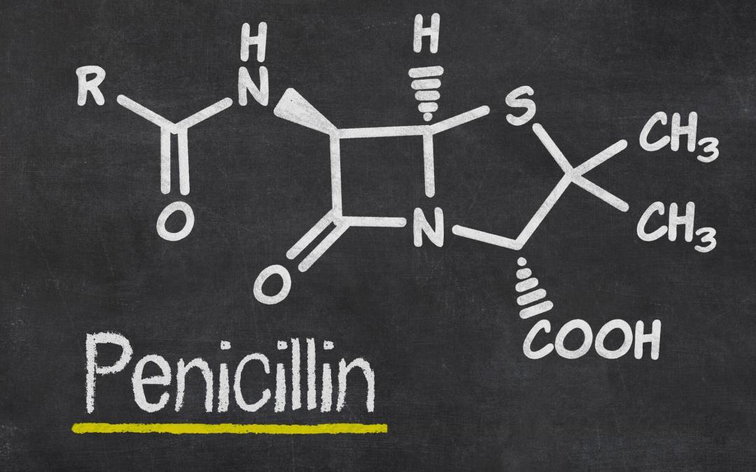 How To Make Penicillin At Home: Step By Step Guide