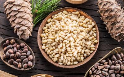 Can You Get Pine Nuts From Any Pine Tree?